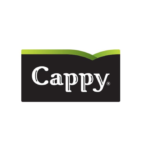 Meyve Suyu 0.33lt Resmi