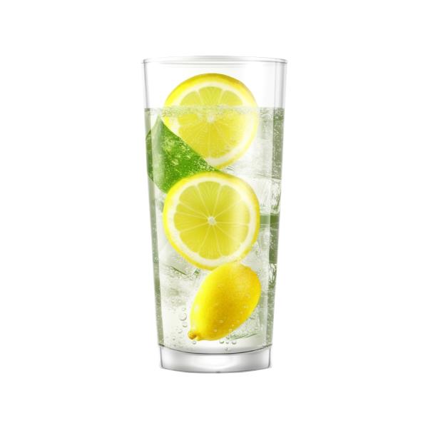Gin Tonic Resmi
